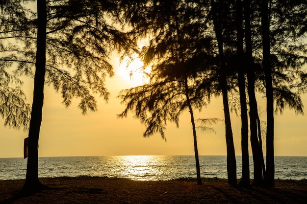 Sonnenuntergang am Strand