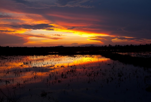 Sonnenuntergang auf Sri Lanka