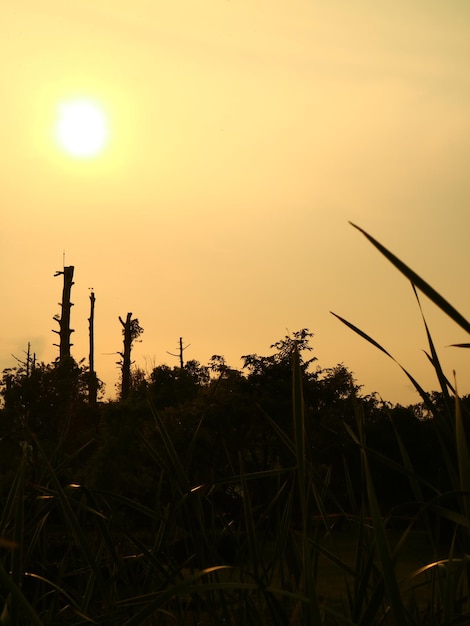 Sonnenuntergang Bunter Himmel Mit Sonne Und Wolken Hintergrund