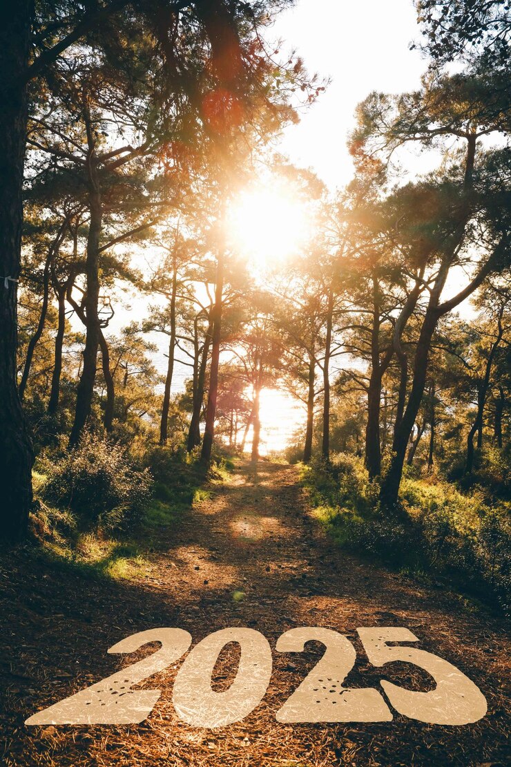 Sonnenuntergang hinter Bäumen mit Meerblick mit dem Jahr 2025