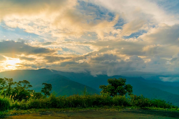 sonnenuntergang im junga des amzonia von ecuador