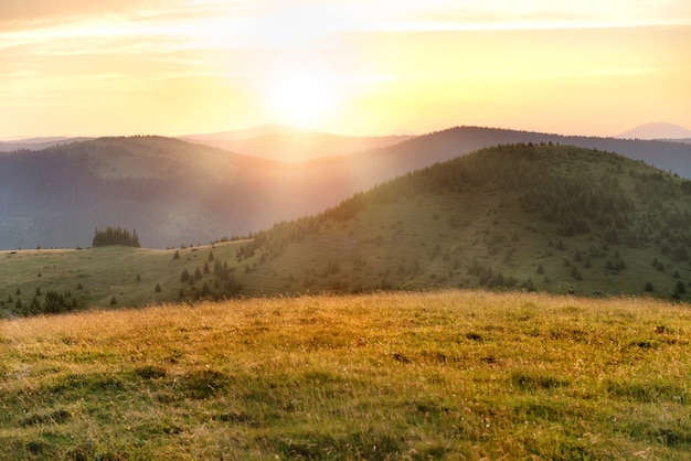 Sonnenuntergang in den Bergen mit Wald, grünem Gras und großer strahlender Sonne am dramatischen Himmel