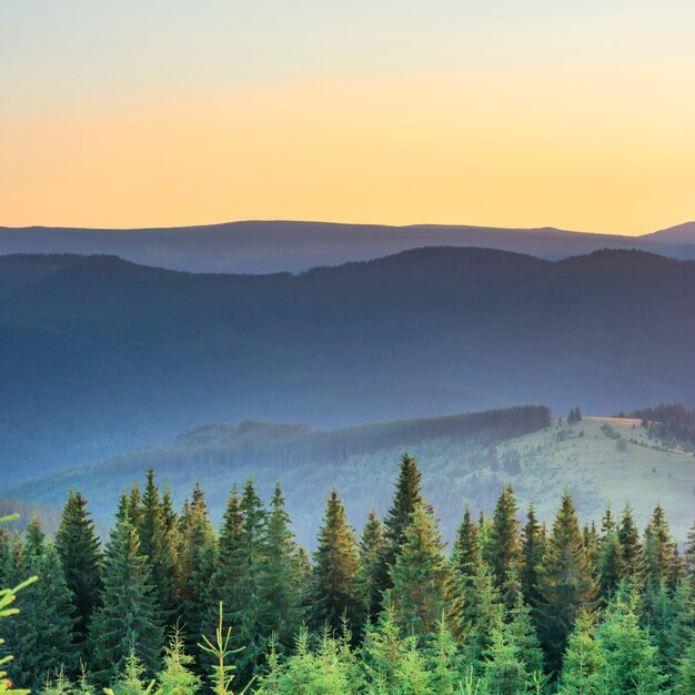 Sonnenuntergang in den Bergen mit Wald und großer strahlender Sonne