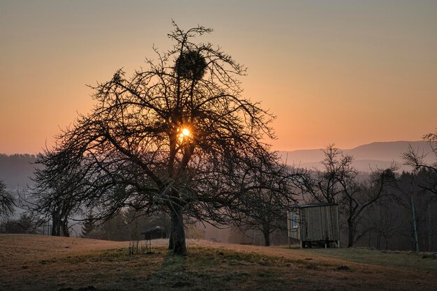 Foto sonnenuntergang in den bergen