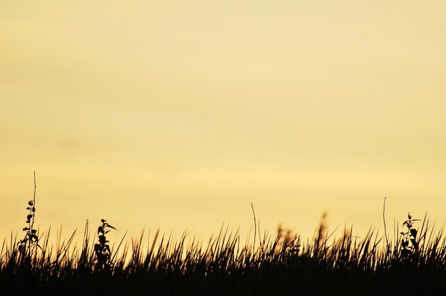 Sonnenuntergang in der Natur