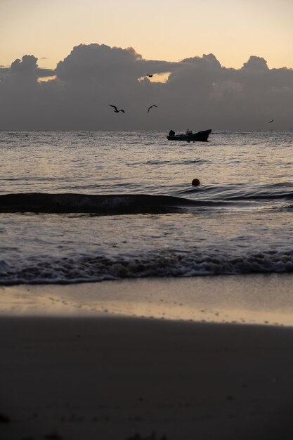 Sonnenuntergang in Playa del Carmen, Mexiko, mit Wolken im Hintergrund und Vögeln, die über den Kopf fliegen