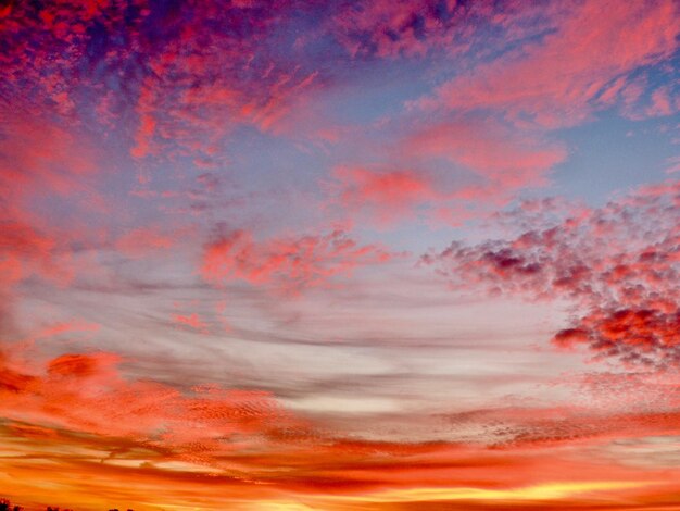 Foto sonnenuntergang en el lado del elba