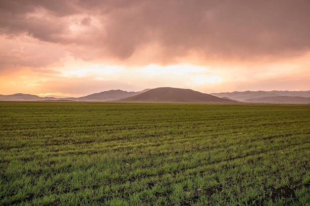 Sonnenuntergang mit Bergen und Feld