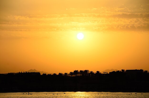 Sonnenuntergang mit Palmen am Meer