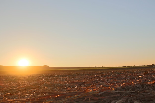 Sonnenuntergang nach dem Arbeitstag der Farmernte. Grünes modernes Landwirtschaftsbild.