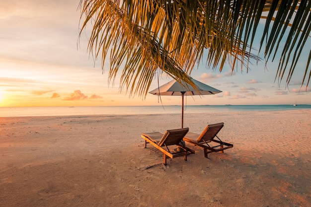 Sonnenuntergang Strandurlaub Paar Reiseziel malerische Flitterwochen Tapete Palme idyllischer Himmel Meer Sand