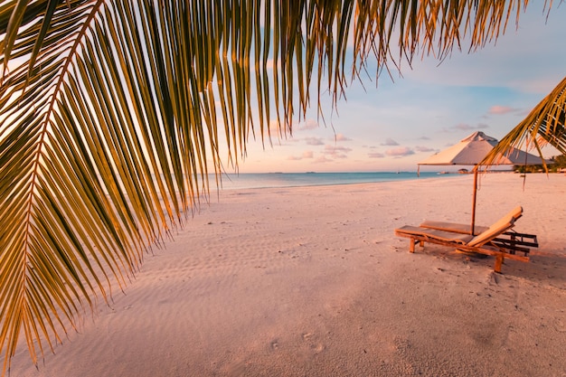 Sonnenuntergang Strandurlaub Paar Reiseziel malerische Flitterwochen Tapete Palme idyllischer Himmel Meer Sand