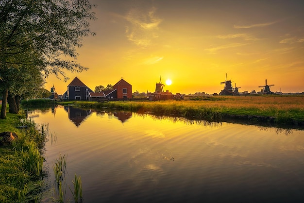 Sonnenuntergang über Bauernhäusern und Windmühlen von Zaanse Schans in den Niederlanden