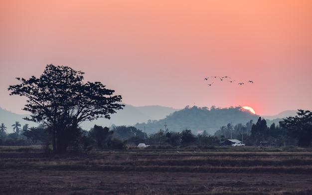 Sonnenuntergang über dem Berg mit Vögeln, die auf dem Land fliegen