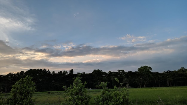 Sonnenuntergang über dem Feld, Landschaft mit Feld und Himmel, Feld und Himmel mit Wolken