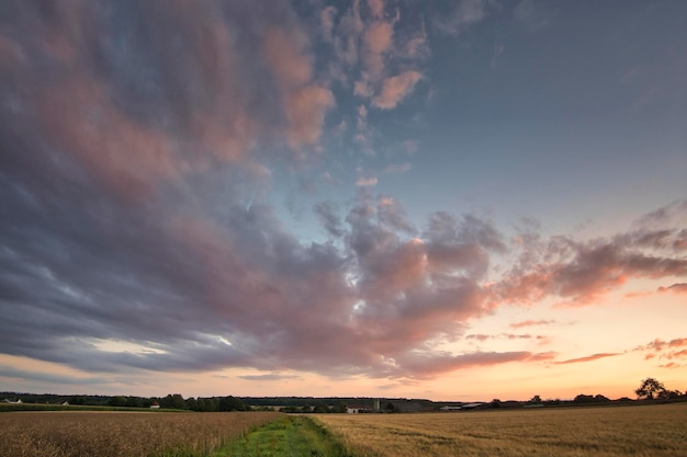 Sonnenuntergang über dem Feld