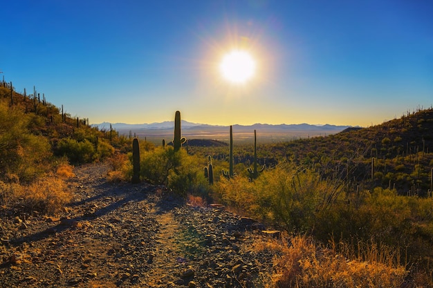 Foto sonnenuntergang über dem king canyon trailhead im saguaro nationalpark in arizona