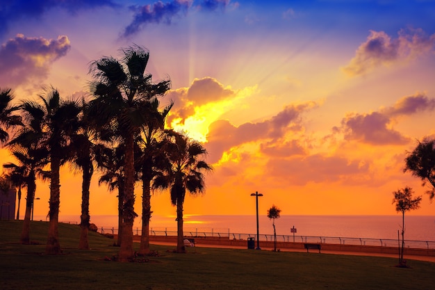 Sonnenuntergang über dem Meer. Damm, Stadt Netanya, Israel