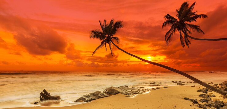 Sonnenuntergang über dem Meer Sri Lanka