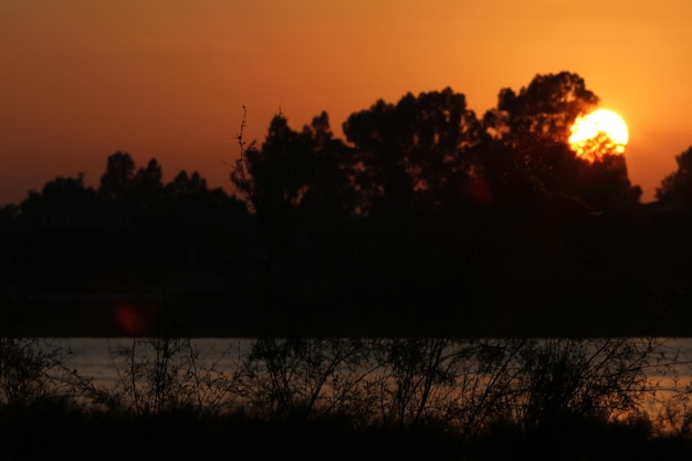 Sonnenuntergang über dem Sumpf