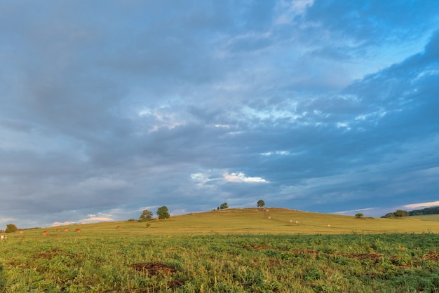 Sonnenuntergang über den Feldern