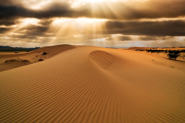 Sonnenuntergang über den Sanddünen in der Wüste Trockene Landschaft der Sahara