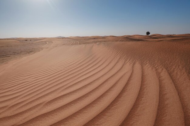 Sonnenuntergang über den Sanddünen in der Wüste