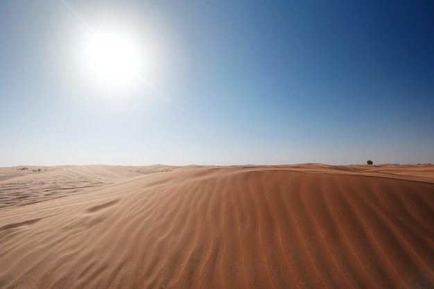 Sonnenuntergang über den Sanddünen in der Wüste