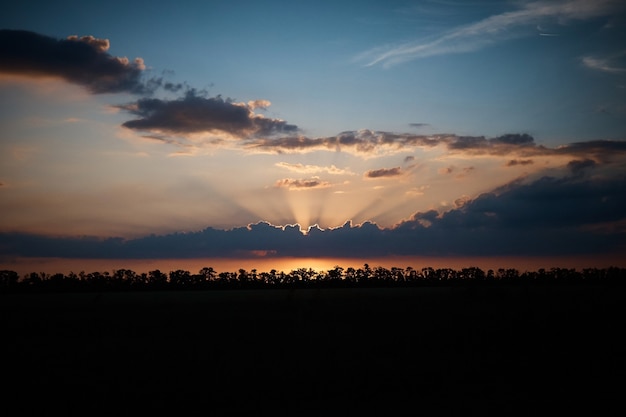 Sonnenuntergang über einem Maisfeld, Wolken und Wolken, die Sonnenstrahlen brechen durch