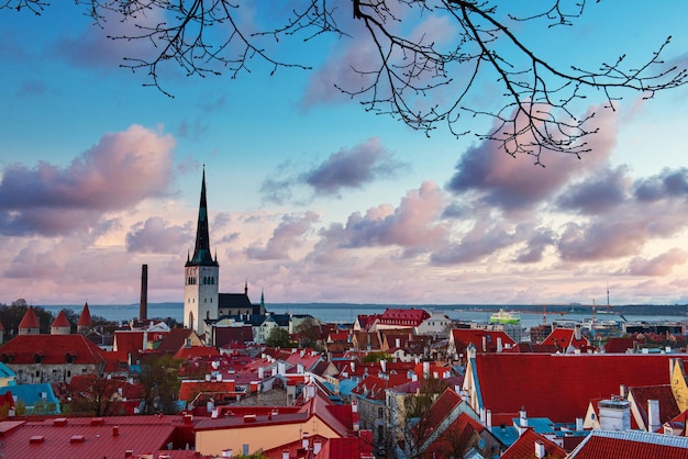 Sonnenuntergang über Tallinn