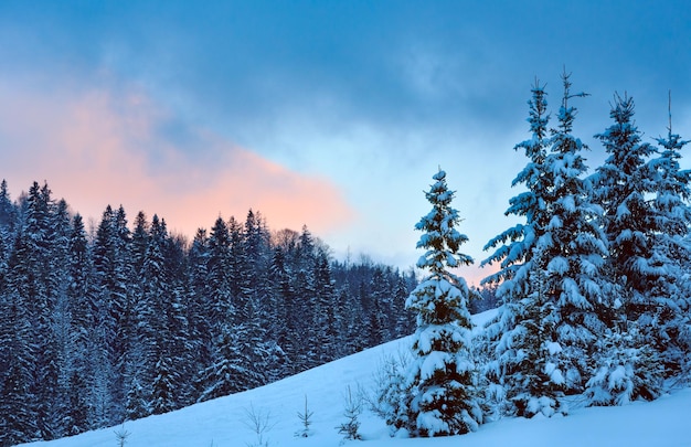 Sonnenuntergang Winter Ukrainische Karpaten Landschaft