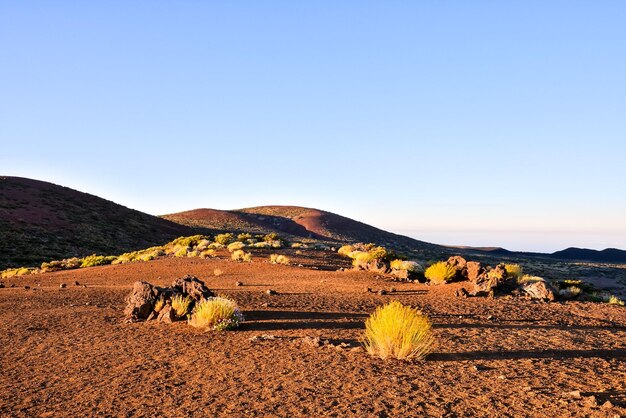 Sonnenuntergang Wüstenlandschaft in Teneriffa Kanarische Insel Spanien