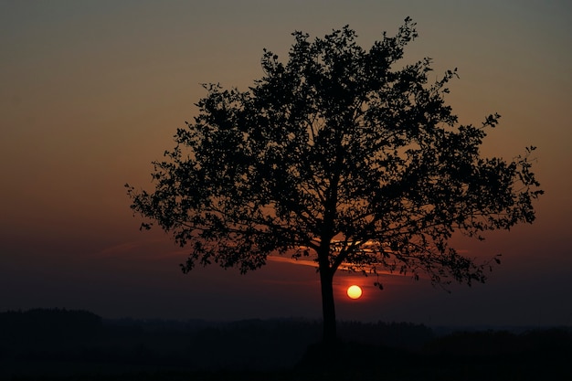 Sonnenuntergang