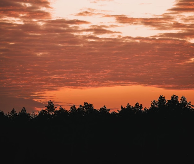 Sonnenunterganghimmel mit leuchtend orangefarbenen Farbverläufen und Wolken über der ländlichen Gegend mit Pinien und Häusern Abend im gemütlichen Dorf