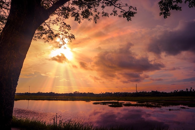 Sonnenunterganghimmellandschaft mit einem Baum und einem See