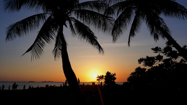 Sonnenunterganglandschaft. Strand Sonnenuntergang. Palmen-Silhouette am tropischen Strand des Sonnenuntergangs, China