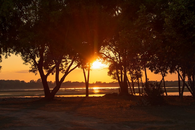 Sonnenunterganglichtstrahlen, die durch die Bäume auf dem See durchdringen