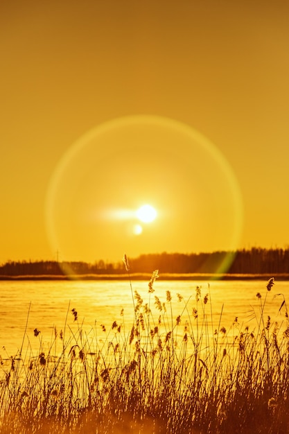 Foto sonnenuntergangslandschaft im winter mit schneebedeckten feldern und hellen blenden von mit frost bedeckten sonnengräsern