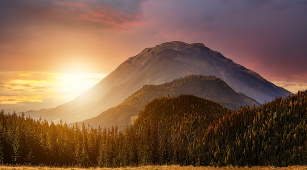 Sonnenuntergangslandschaft mit hohen Gipfeln und nebligen Tal mit herbstlichem Fichtenwald