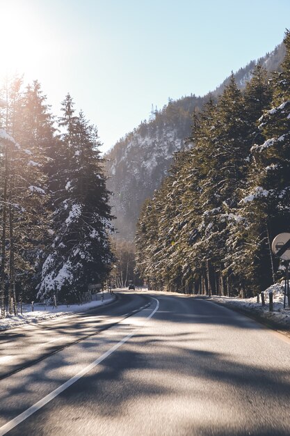 Sonnige Bergstraße im Wald