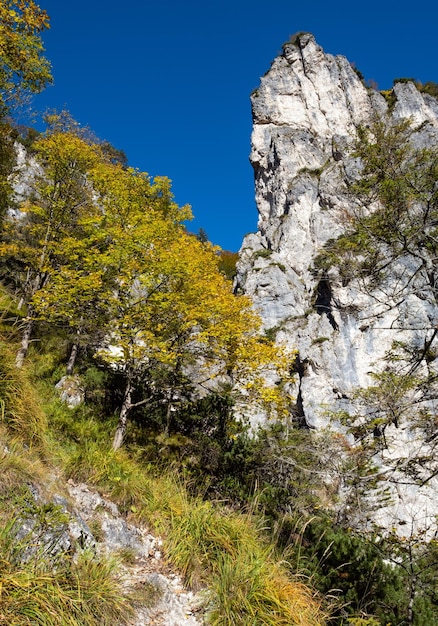 Sonnige bunte Herbst-Alpenszene Ruhige Aussicht auf die felsigen Berge vom Wanderweg in der Nähe des Almsees Oberösterreich