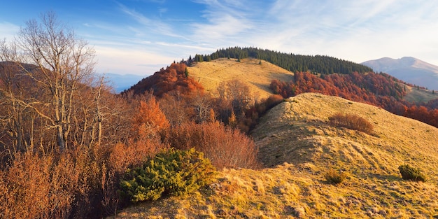 Sonnige Herbstlandschaft. Abend in den Bergen