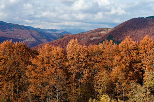 Sonnige Herbstlandschaft