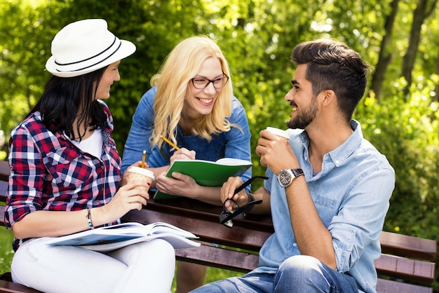 Sonnige Landschaft einer Gruppe junger Freunde, die sich in einem Park amüsieren