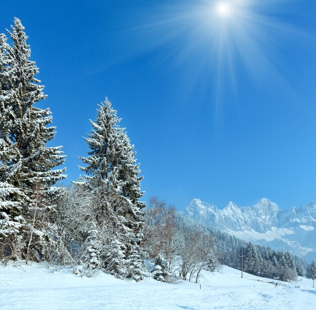 Sonnige Winterberglandschaft mit Tannenwald und Landstraße am Hang.