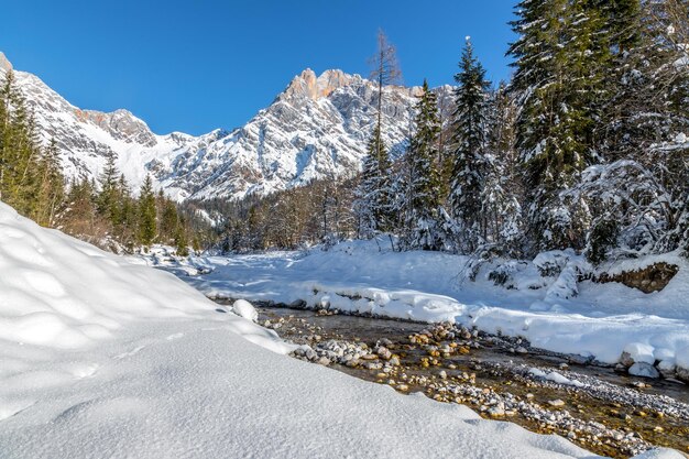 Sonnige Winterlandschaft in den Alpen Mountain Range River schneebedeckte Bäume Sonnenschein und blauer Himmel