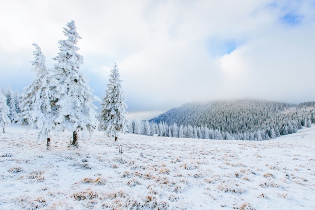 Sonnige Winterlandschaft