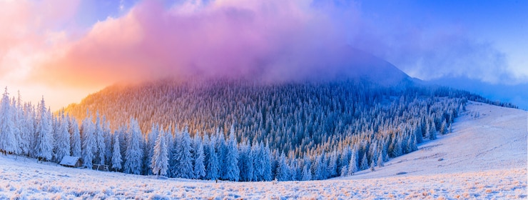 Foto sonnige winterlandschaft