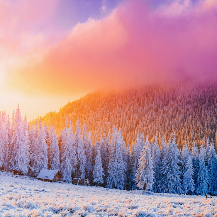 Foto sonnige winterlandschaft