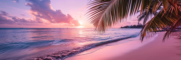 Foto sonniger exotischer strand am meer mit palmen bei sonnenuntergang, sommerurlaub, generative ki